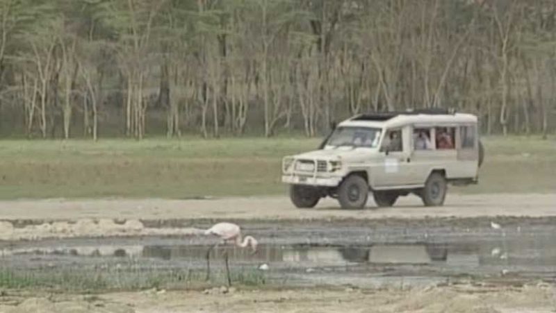 Mueren tres turistas españoles en Kenia