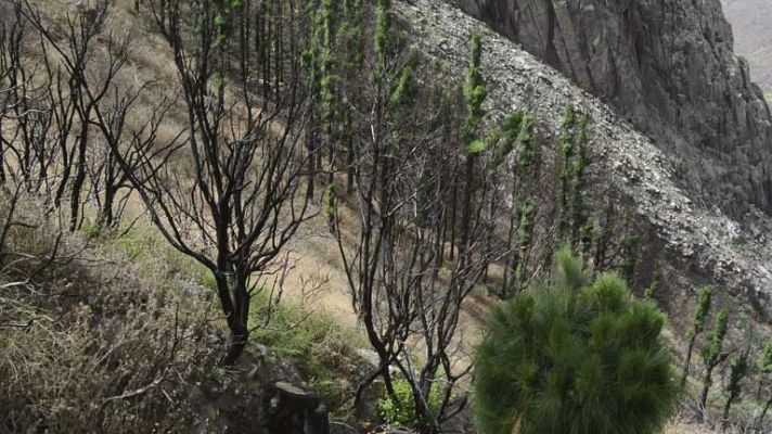 Un año del incendio de La Gomera