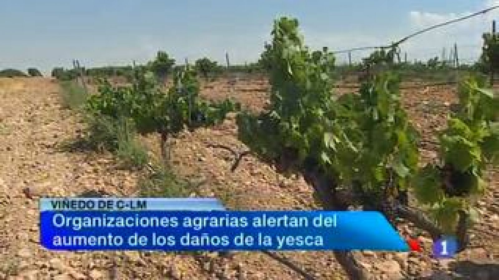 Noticias de Castilla-La Mancha: Noticias de Castilla-La Mancha (12/08/2013) | RTVE Play