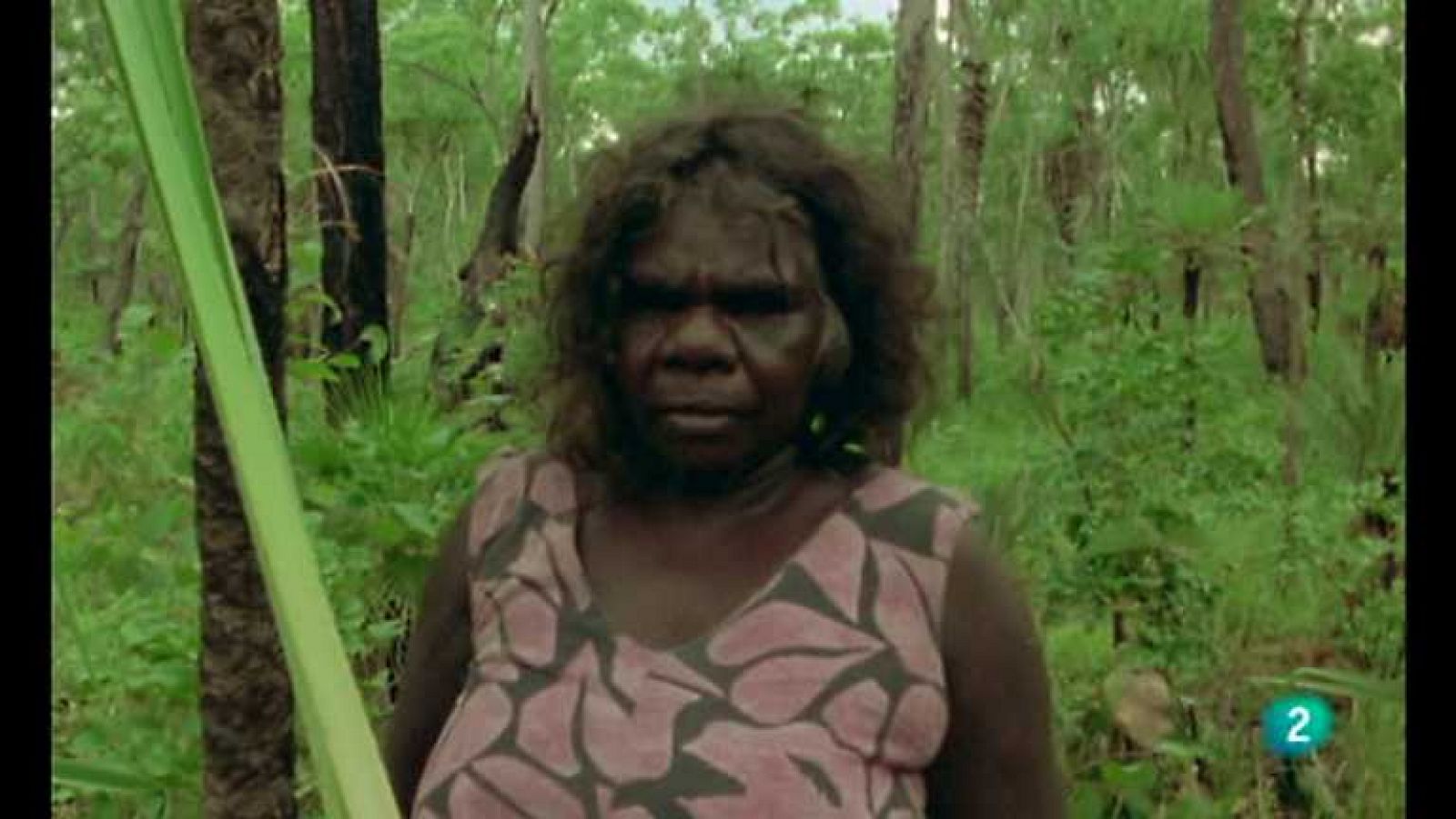 Otros pueblos - Australia, sueños aborígenes