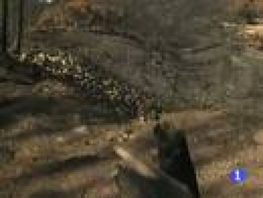 Informatiu Balear - Informatiu Balear 2 - 13/08/13