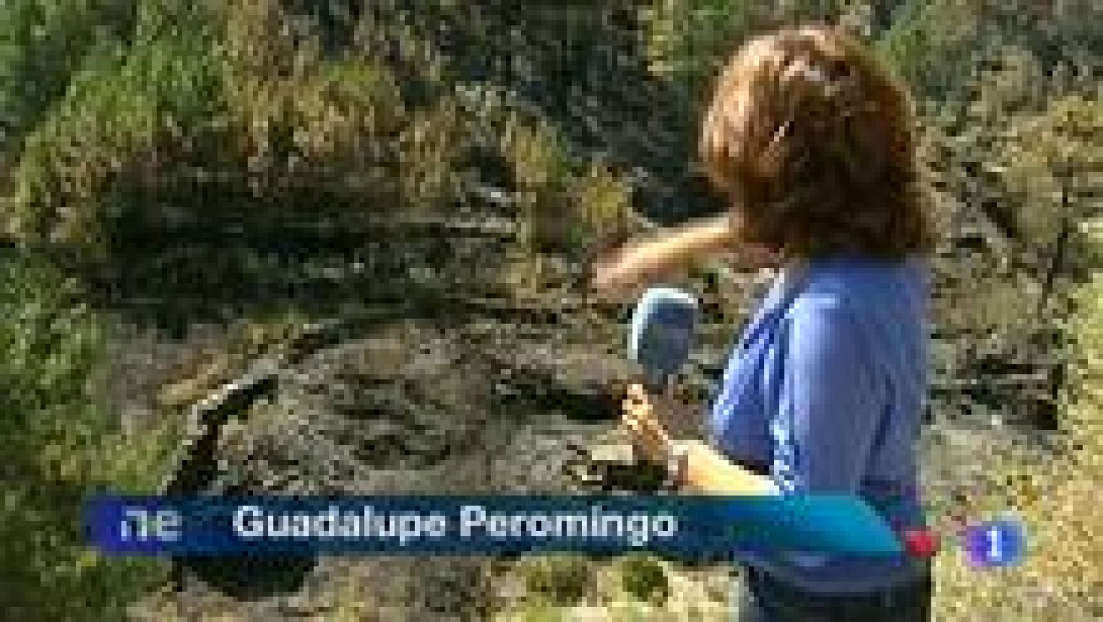 Noticias de Extremadura: Noticias de Extremadura 2 - 13/08/2013 | RTVE Play