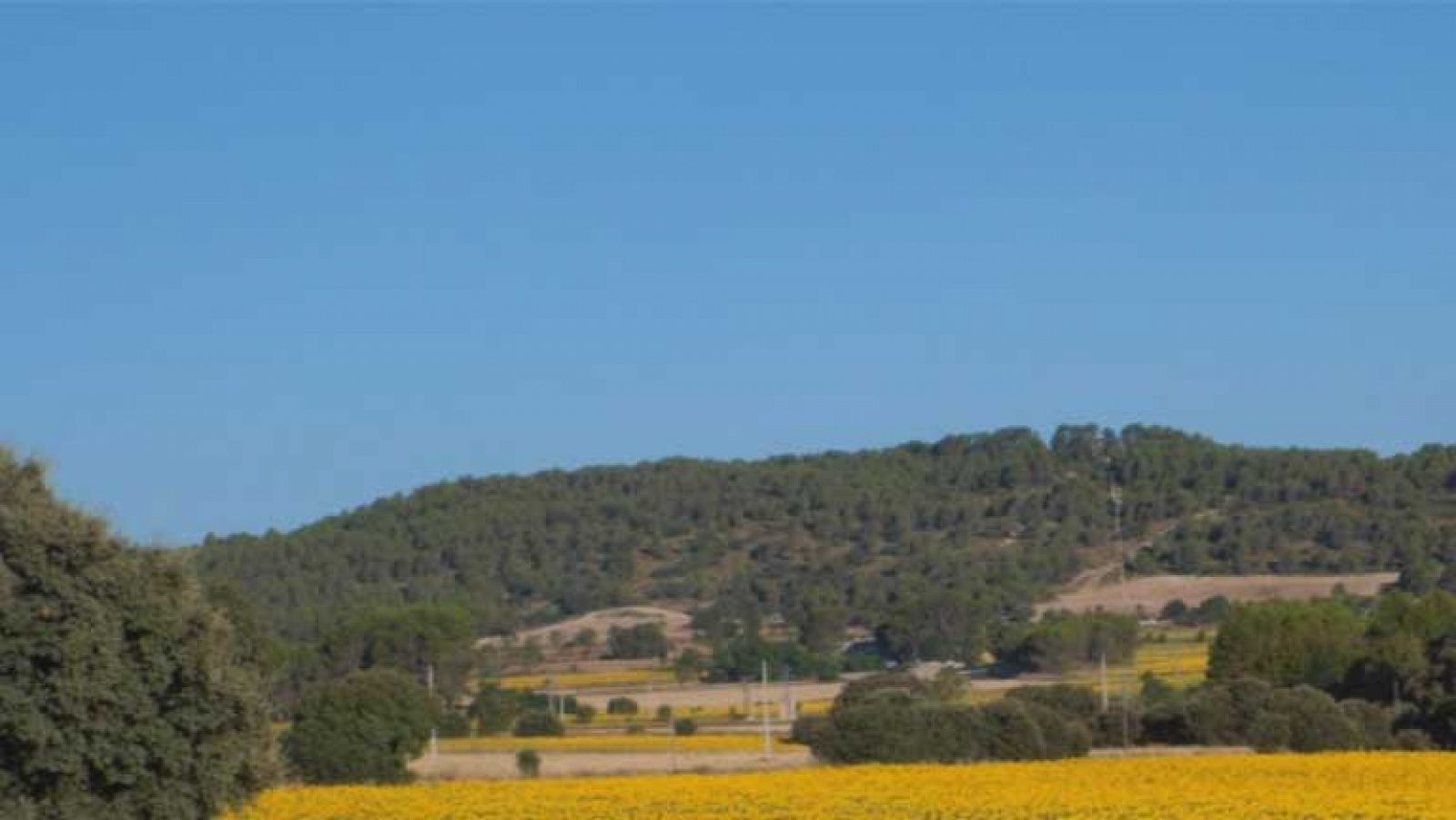 El tiempo: Temperaturas altas en el sur de Galicia | RTVE Play