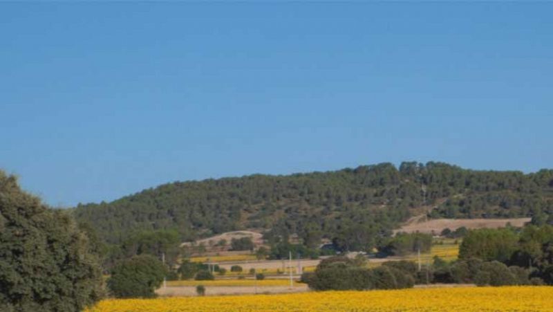 Temperaturas altas en el sur de Galicia 