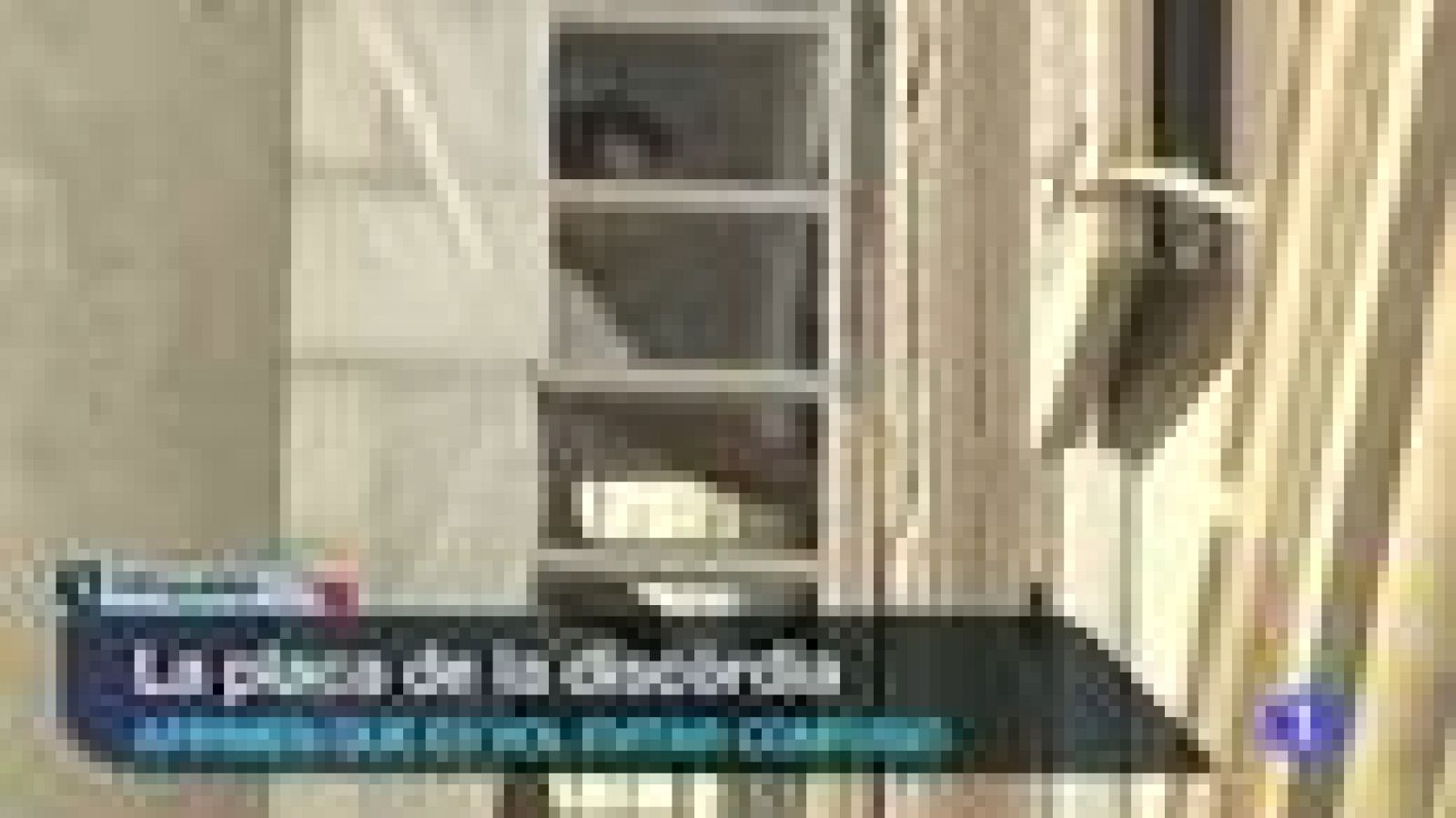 L'Informatiu en 3' - 14/08/2013