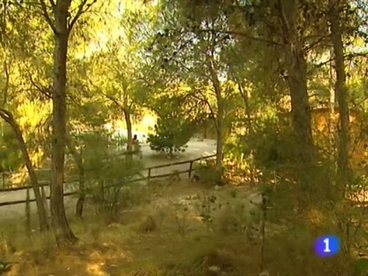 Noticias Murcia - La Comunidad de Murcia en 2'.(16/08/2013)