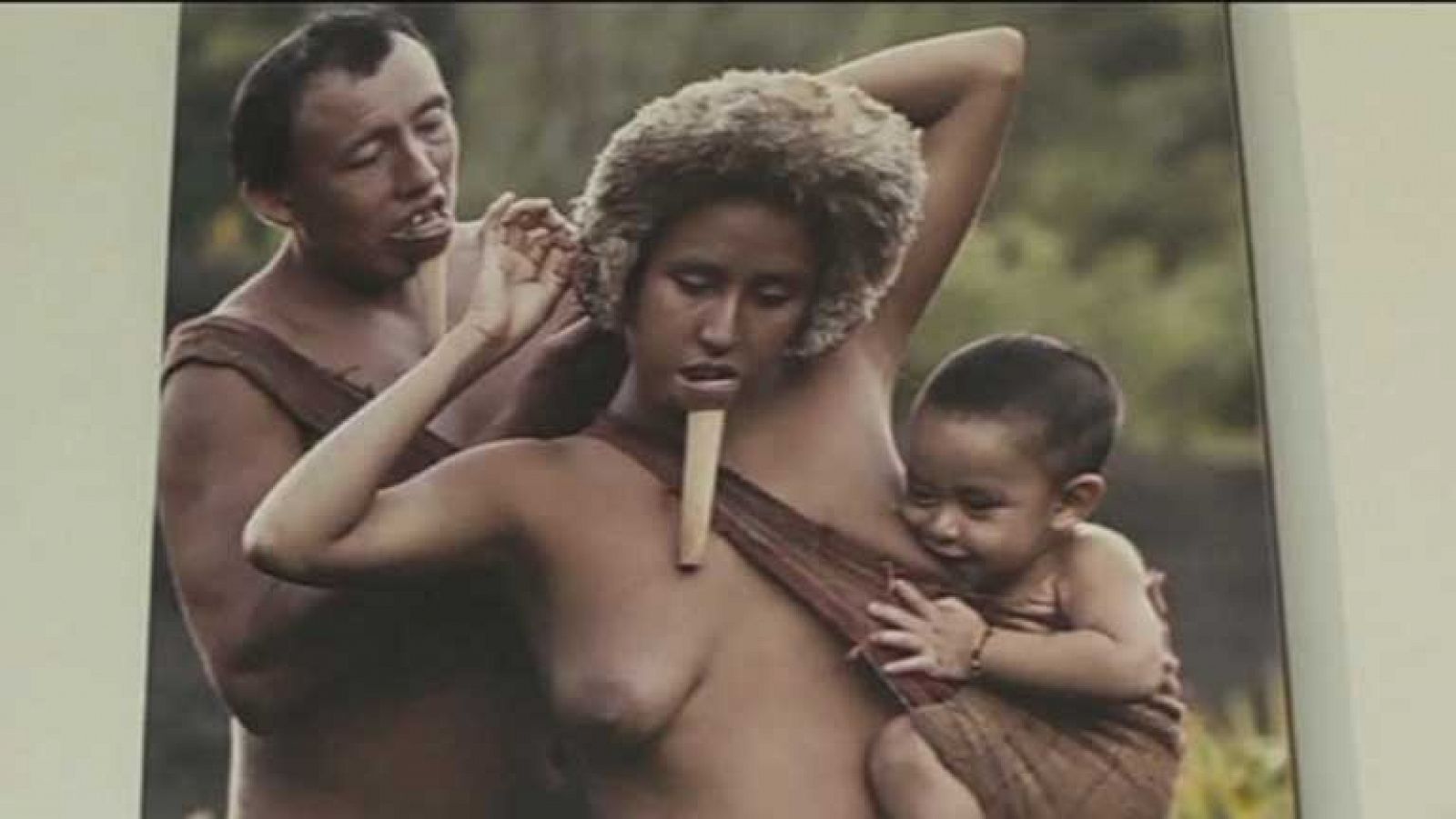 Indígenas en Brasil