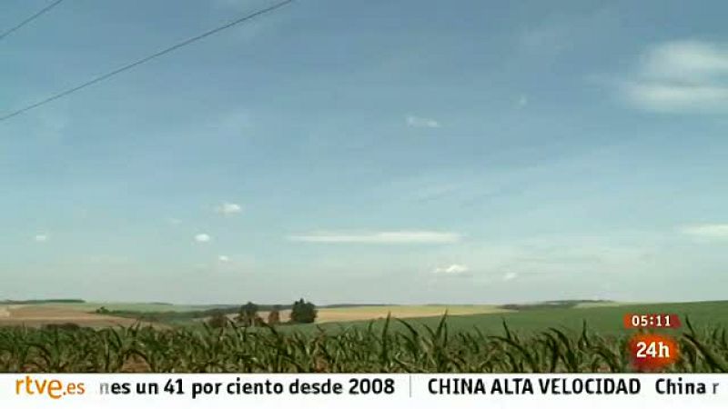  En Paraguay, el monocultivo extensivo de la soja ha expulsado a 90 mil familias al año hacia la capital