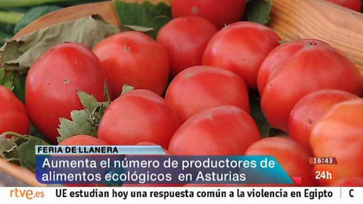 España en 24h - España en 24 horas - 19/08/13