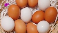 CAMPAÑA 'ALIMENTACIÓN SALUDABLE' - ¿Por qué hay huevos blancos y huevos morenos?
