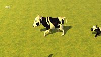 La granja de Zenon - La vaca Lola