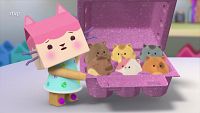 Hamster gatitos