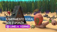 ¡Kampamento Koral llega a Clan!