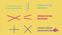 MATEMÁTICAS - Líneas para todos