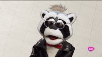 Música maestro