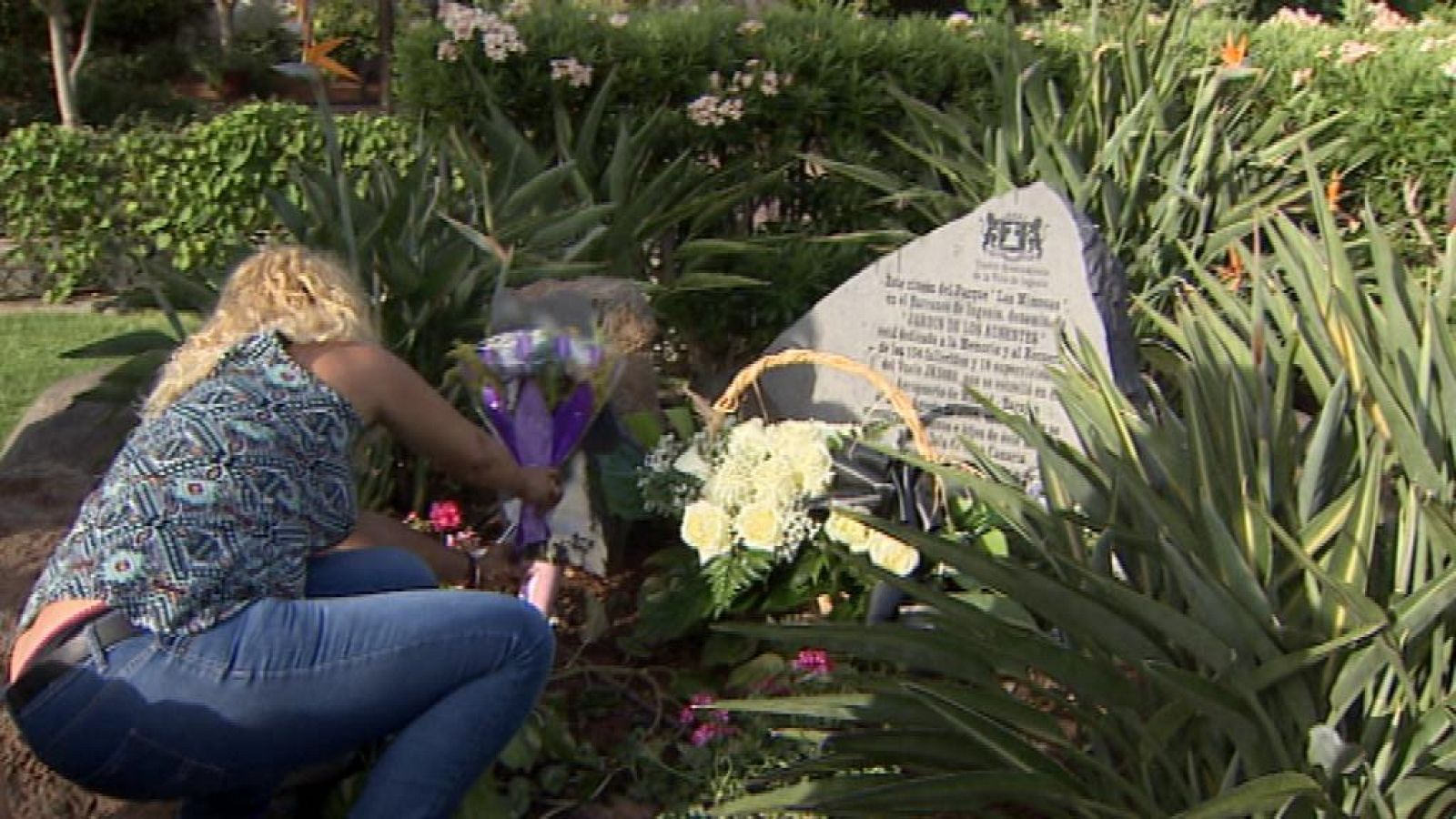 Telecanarias - 20/08/13 | Ver