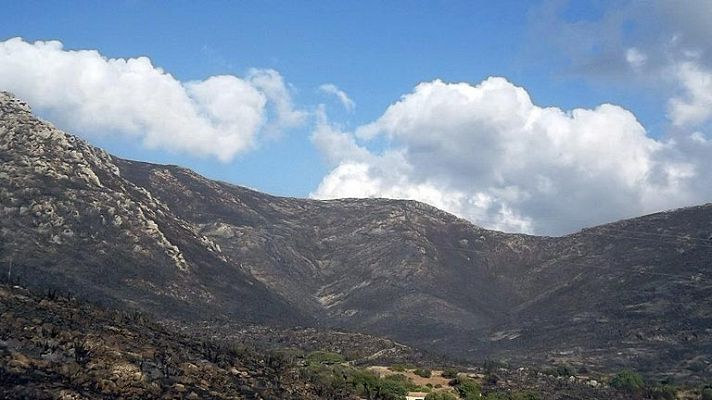 Estabilizado incendio de Mallorca