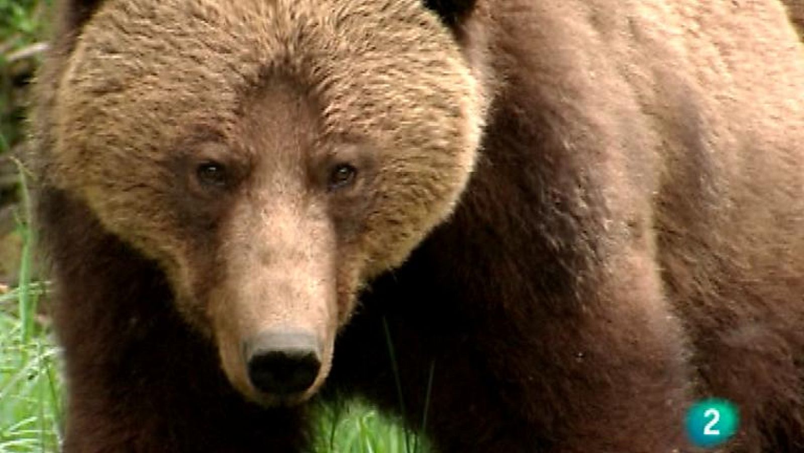 Otros pueblos - Columbia británica. Las primeras naciones - ver ahora