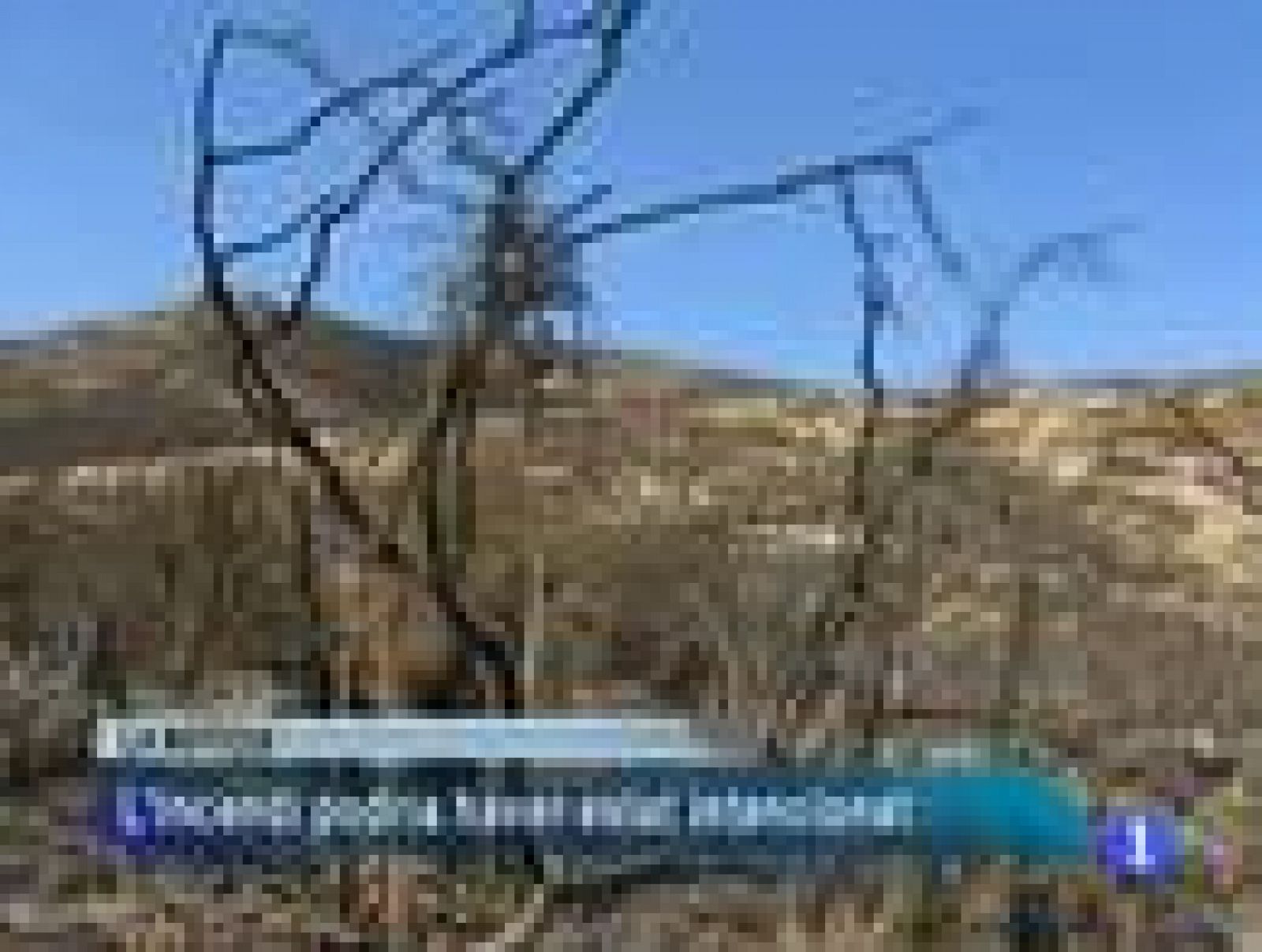 Informatiu Balear en 2' - 22/08/13 | Ver