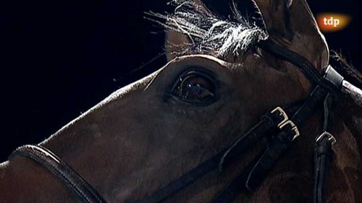 Turf - Turf - 22/08/13