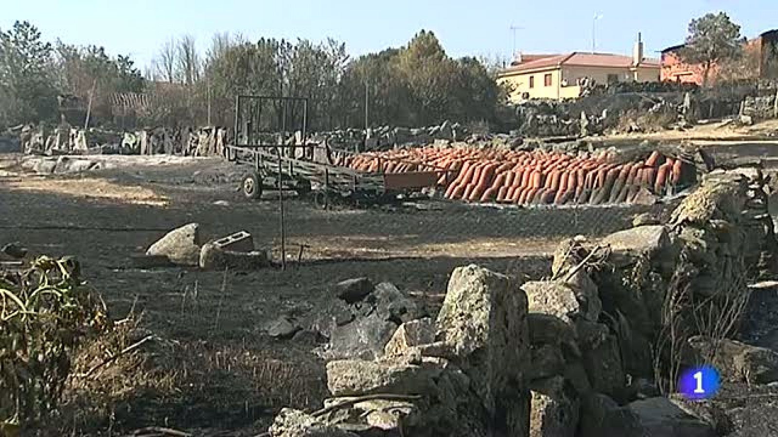 Telediario 1: Incendio activo en Zamora | RTVE Play