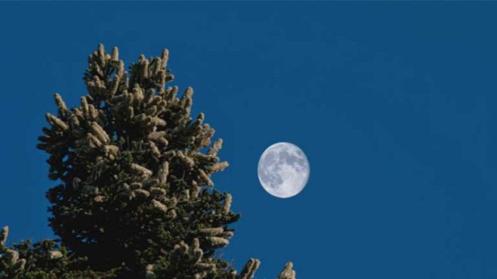 El tiempo - Lluvias débiles o moderadas en el área cantábrica