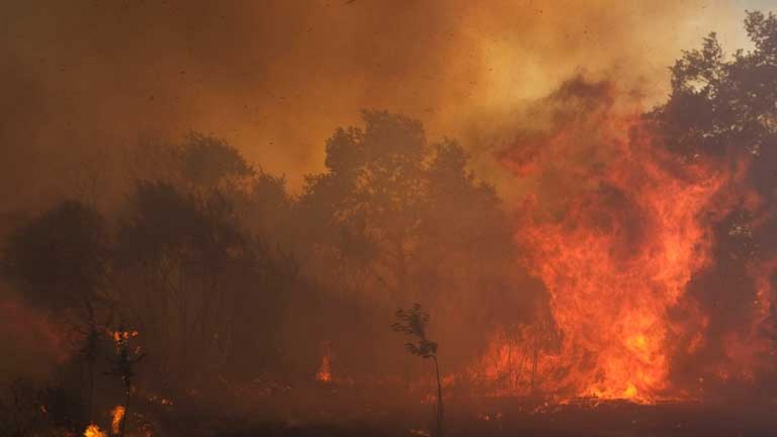 Telediario 1: Incendio al sur de Ourense | RTVE Play