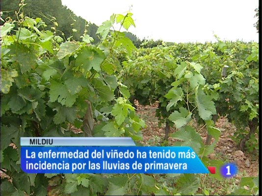 Informativo Telerioja - Informativo Telerioja - 26/08/13