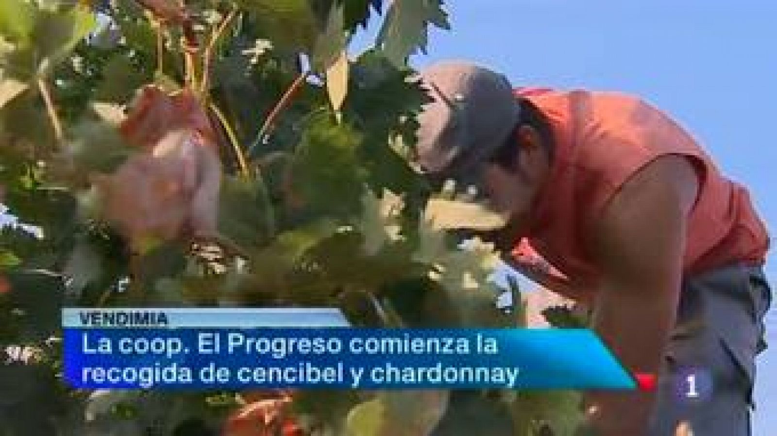 Noticias Castilla-La Mancha en 2' (26/08/2013) | Ver