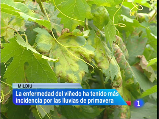 Informativo Telerioja - Informativo Telerioja 2 - 26/08/13