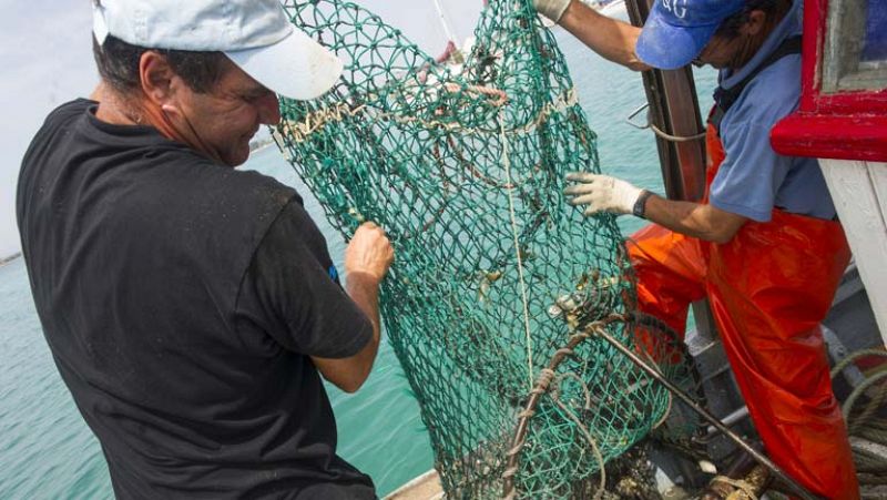 Los pescadores de la bahía de Algeciras descartan realizar más movilizaciones 