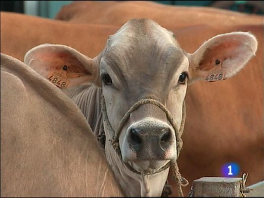 Panorama Regional - Panorama Regional 2 - 27/08/13