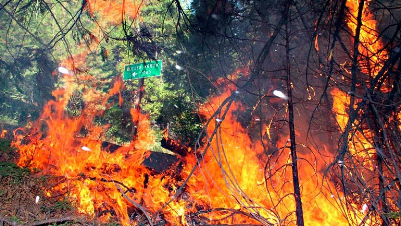 El fuego de Yosemite, en Estados Unidos, sigue sin control y ha quemado 72.000 hectáreas