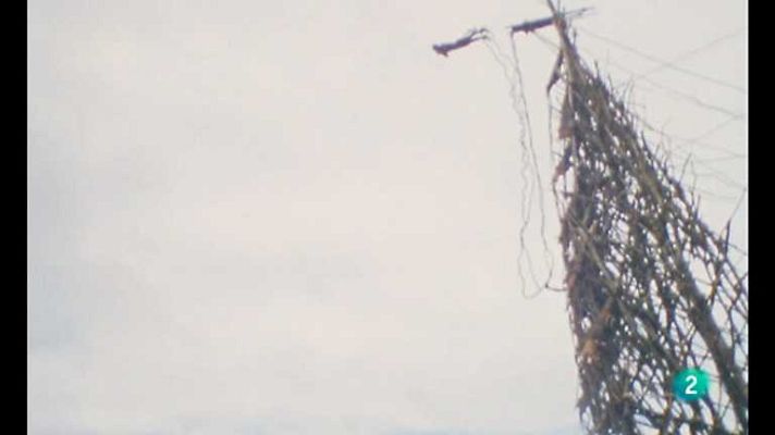 Otros pueblos - Los hombres pájaro de Pentecostés