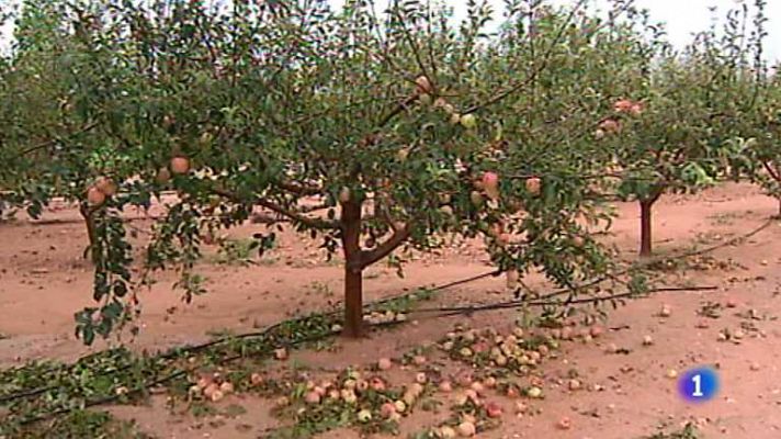 L'informatiu - Comunitat Valenciana - L'Informatiu - Comunitat Valenciana - 29/08/13
