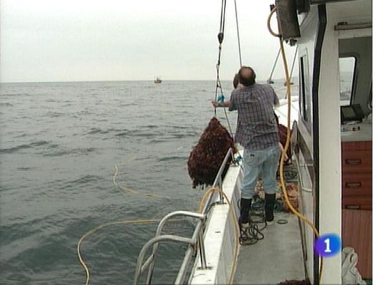 Panorama Regional - Panorama Regional - 29/08/13