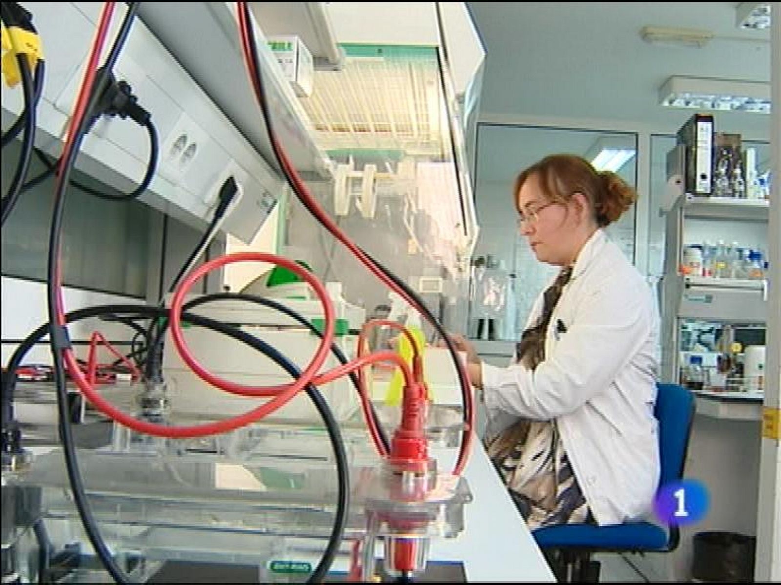 Panorama Regional 2 - 29/08/13 | Ver