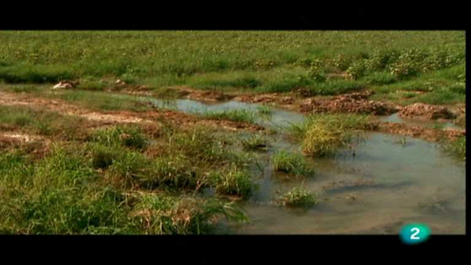 Agua - El curso del río - ver ahora