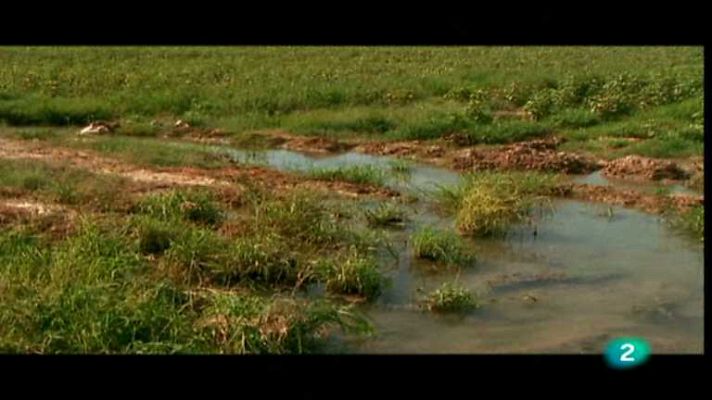 Agua, la gota de la vida - El curso del río