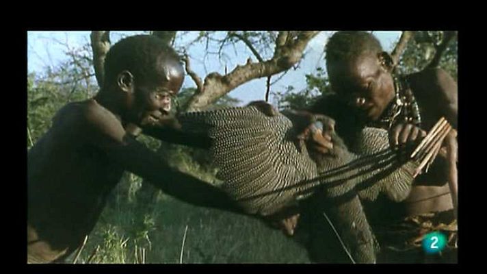 Los últimos indígenas - Hazda