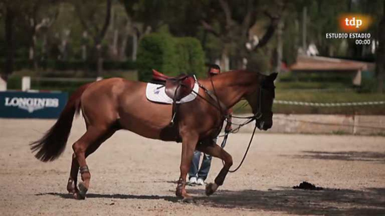 Hípica - Reportaje Club de Campo - ver ahora