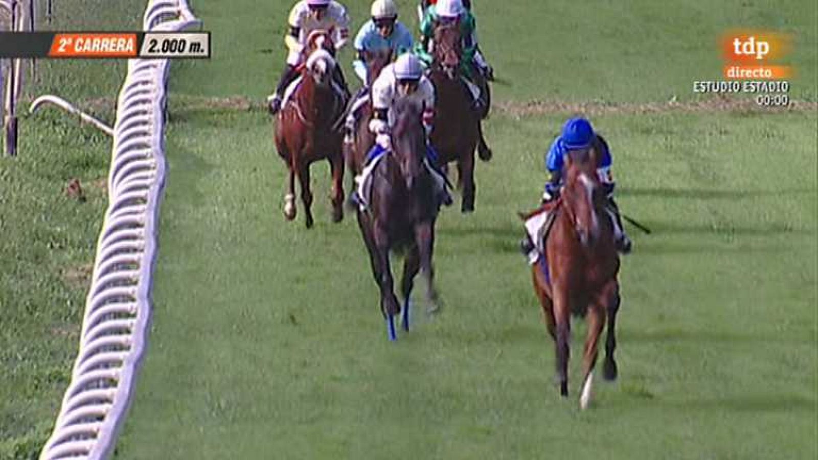 Turf - 01/09/13 - Ver ahora