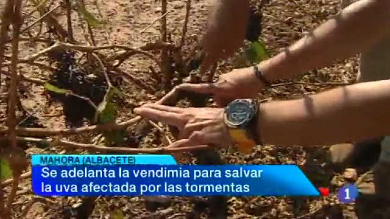 Noticias Castilla-La Mancha en 2' (02/09/2013) | Ver