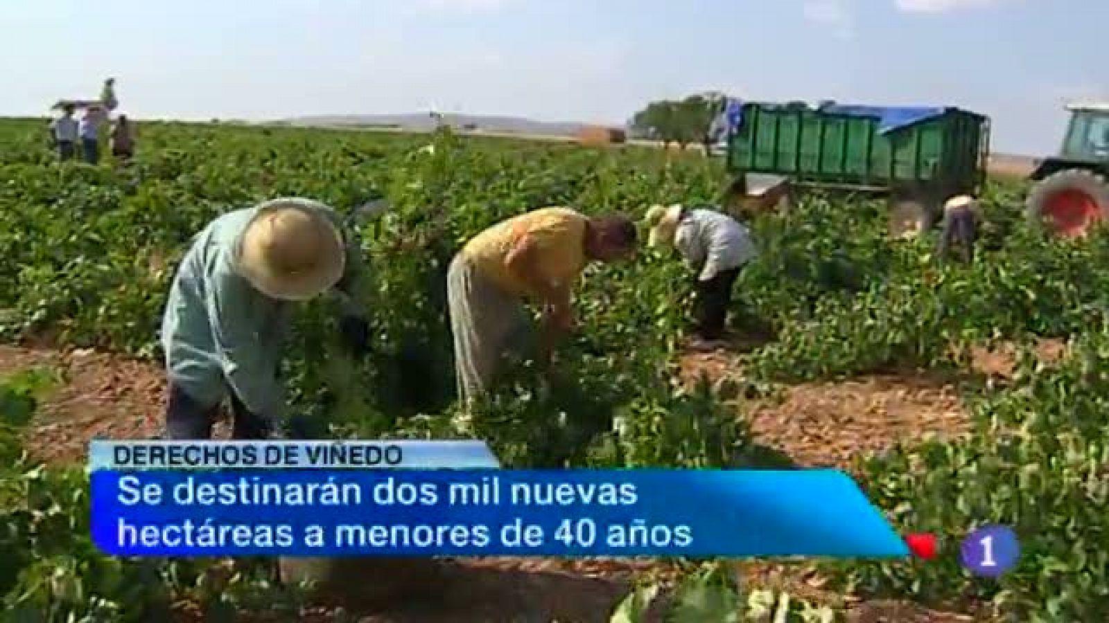 Noticias de Castilla-La Mancha: Noticias de Castilla-La Mancha2-04/09/2013 | RTVE Play