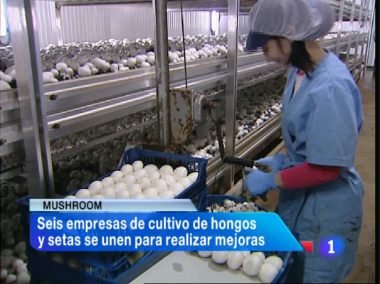 Informativo Telerioja - Informativo Telerioja - 04/09/13