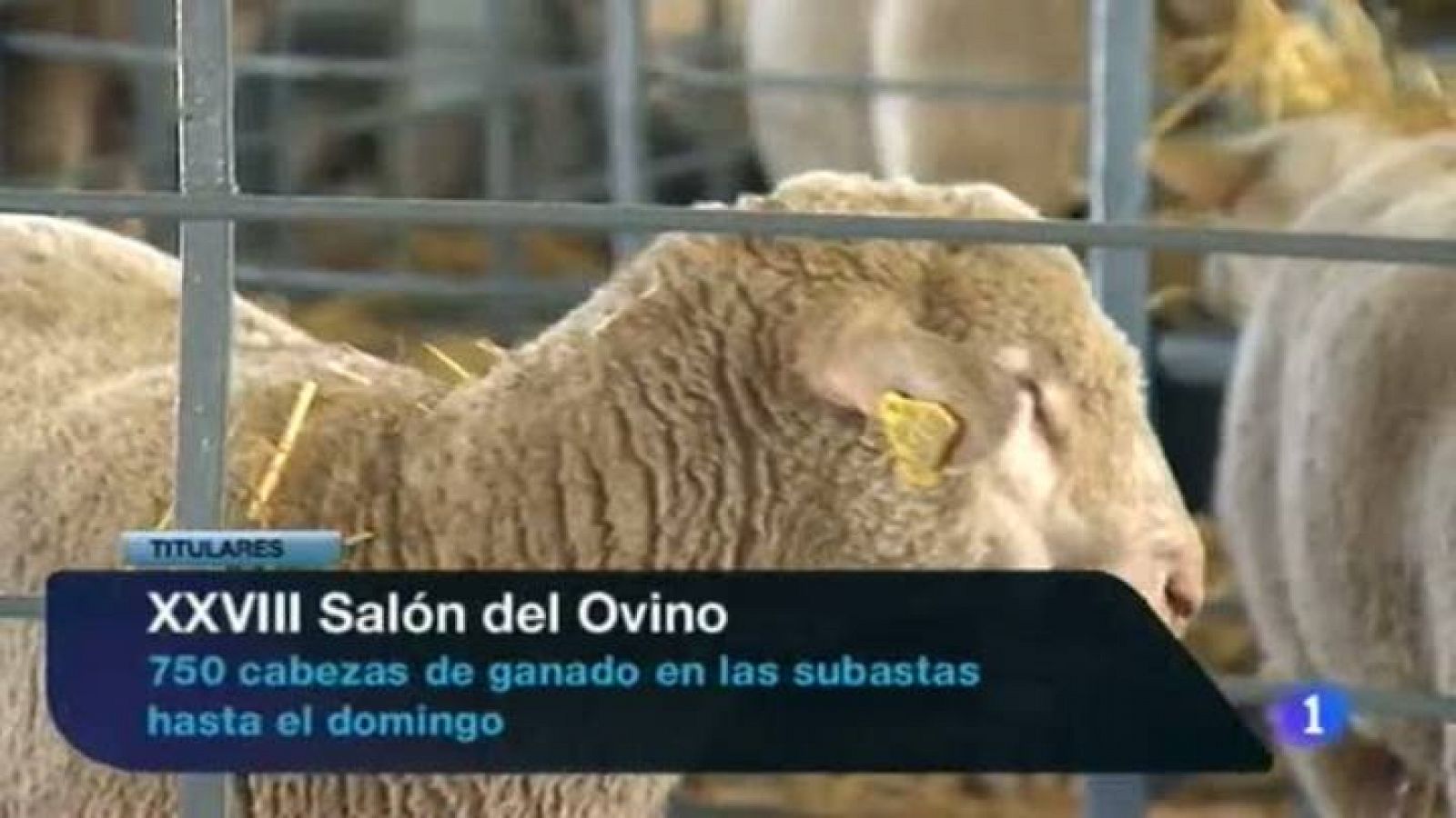 Noticias de Extremadura en 2' - 06/09/2013 | Ver