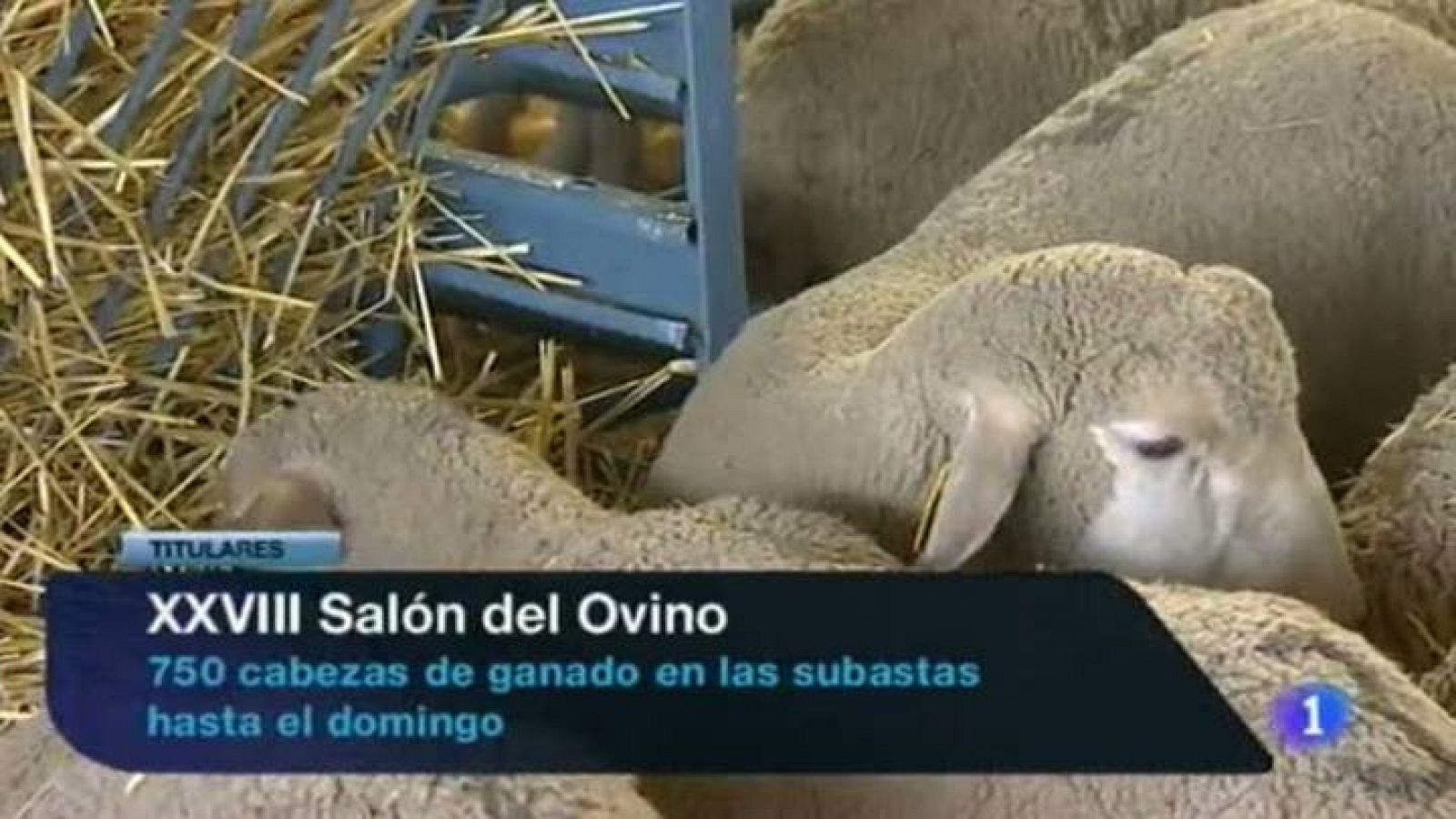 Noticias de Extremadura1 - 06/09/2013 | Ver