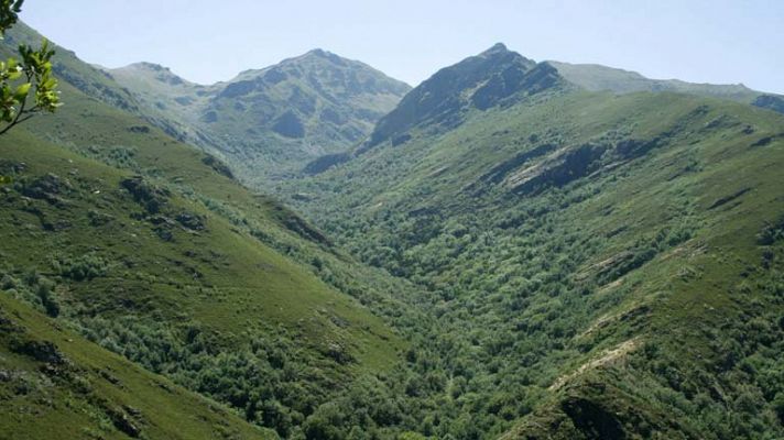 Telediario 1 - Aprobado anteproyecto parques