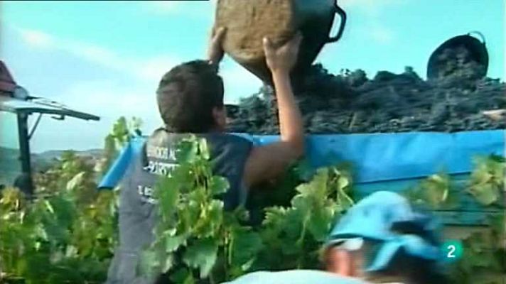 Agrosfera - Agrosfera - 07/09/13