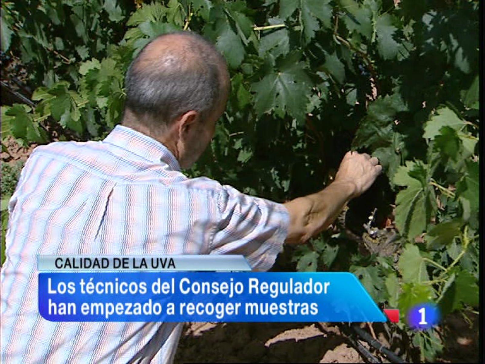 Informativo Telerioja 2 - 10/09/13 | Ver